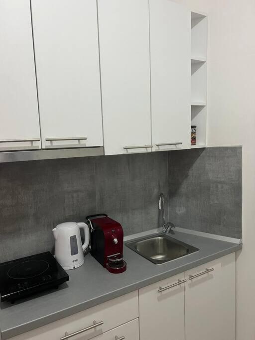 Apartment Sany Center Belgrade